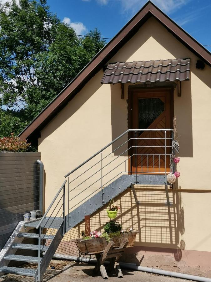 Gite Des Biches Birkenwald Esterno foto